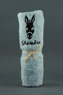 Débarbouillette Bleu Perle